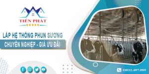 Bảng giá lắp hệ thống phun sương tại Long An【Ưu Đãi 20%】