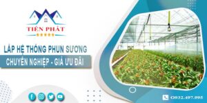 Giá lắp hệ thống phun sương tại Nha Trang -【Ưu Đãi 20%】